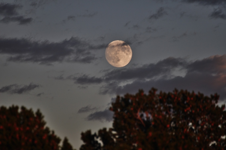 near full moon